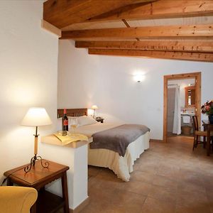 Superior Double Room Terrace